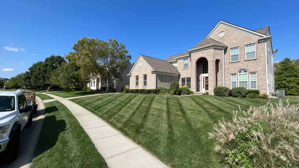 Mowing Services image