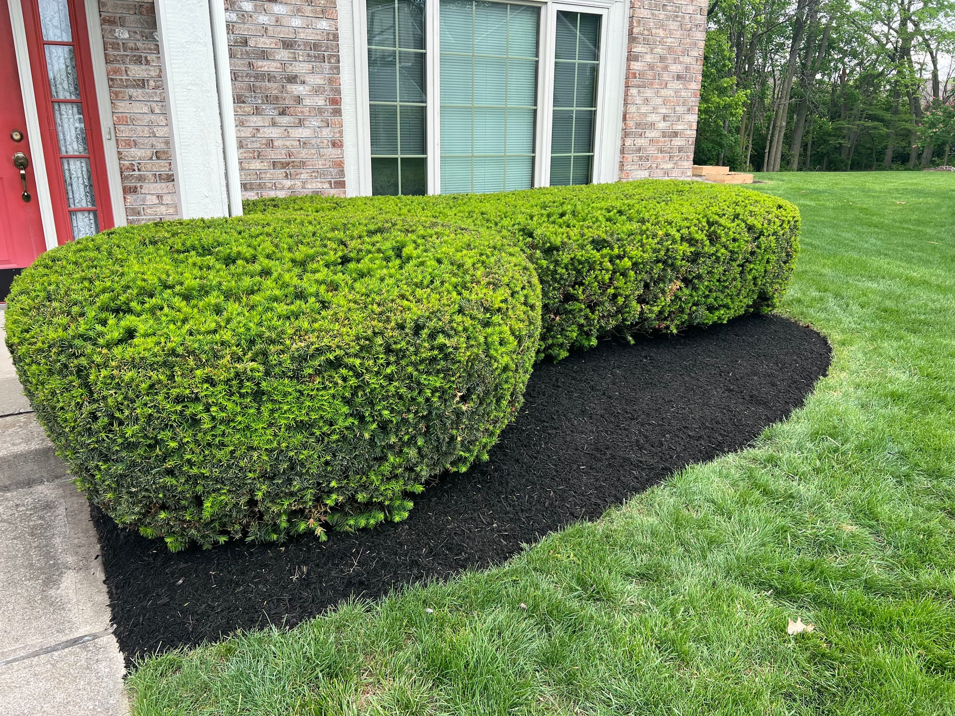 Bush Trimming and Fresh Mulch Clean Up a Fishers Home image