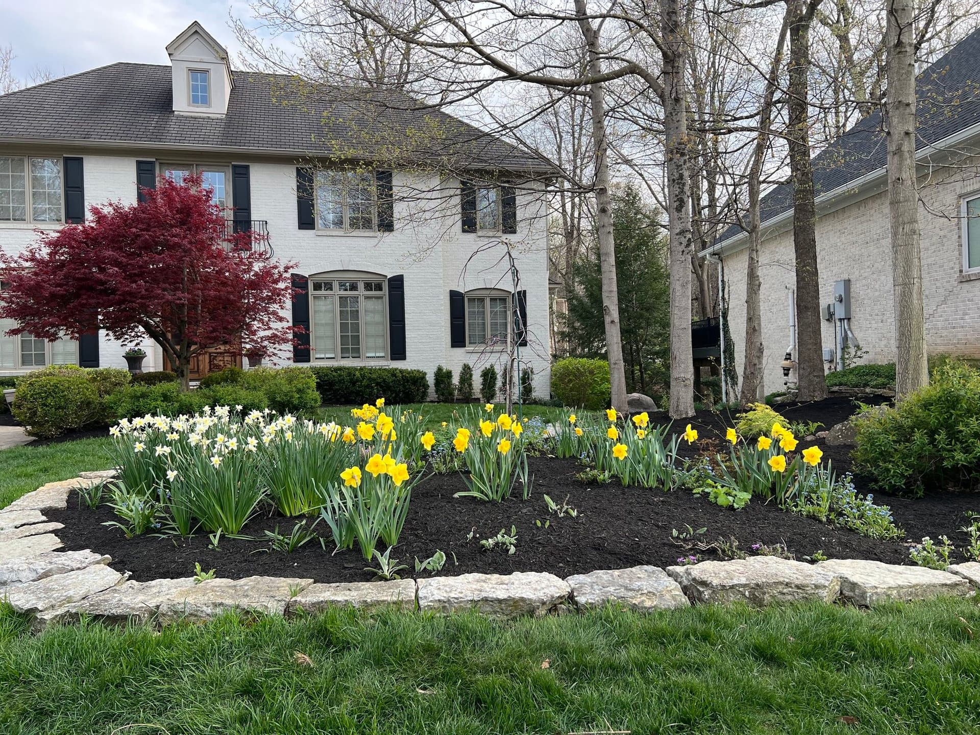 Blog post Spring 2026: Bigger, Better, and Ready to Grow image