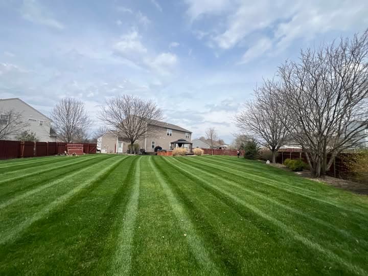 Free Lawn Care Checklist for Homeowners in Indianapolis image