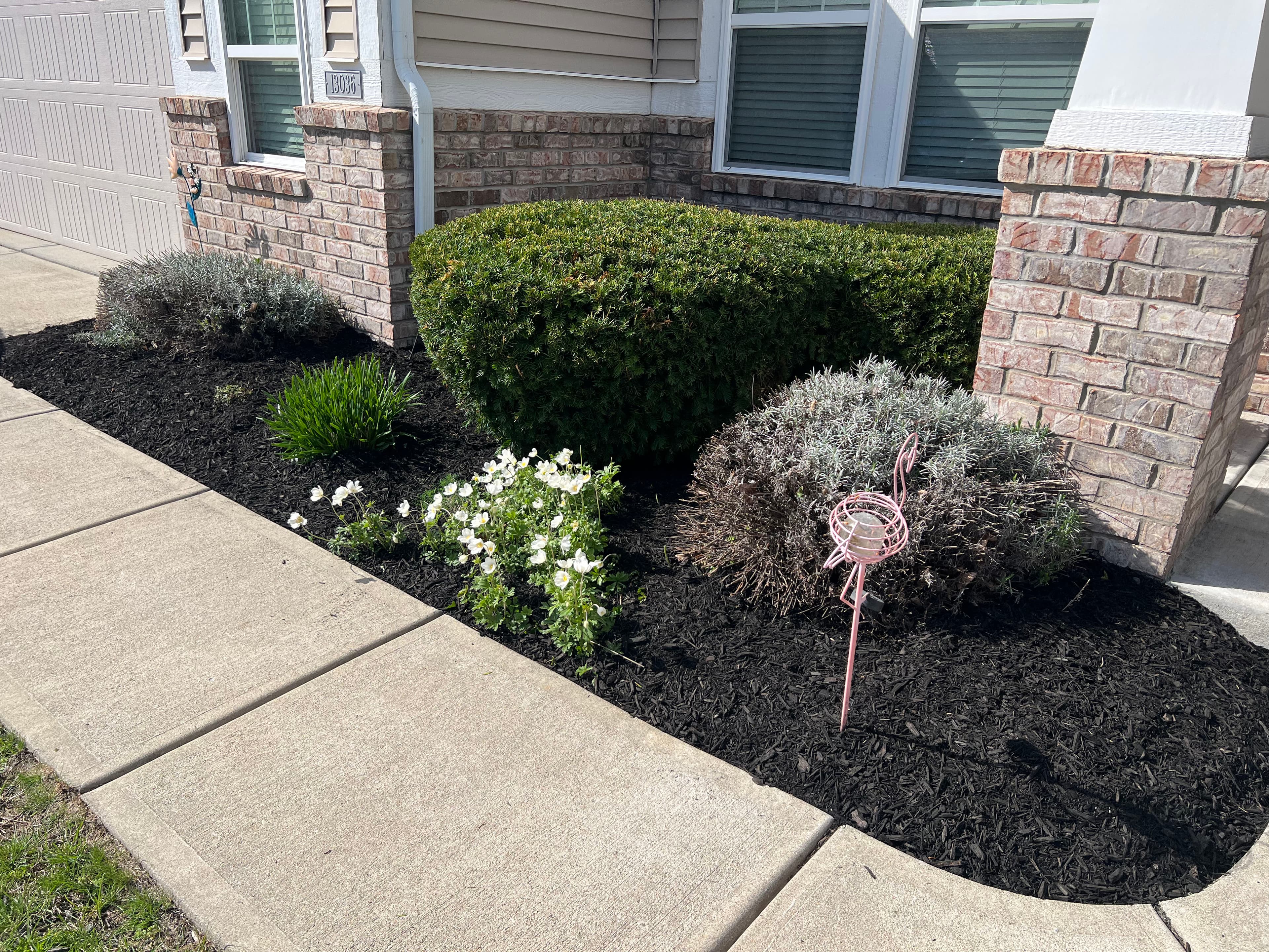 Project Spring Cleanups Are Happening Now in Fishers Indiana image