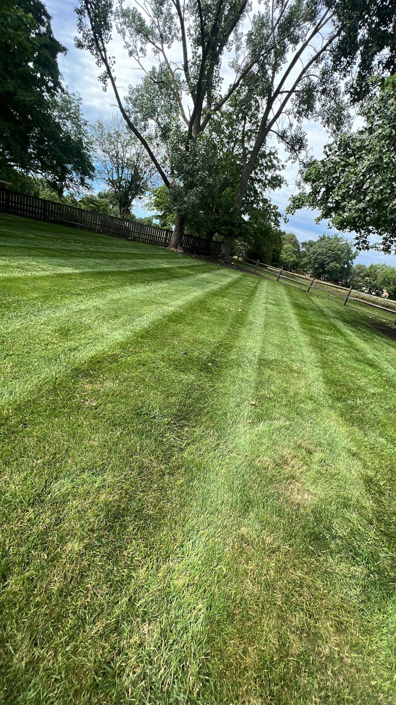 Project Weekly Lawn Mowing Done Right in Noblesville image