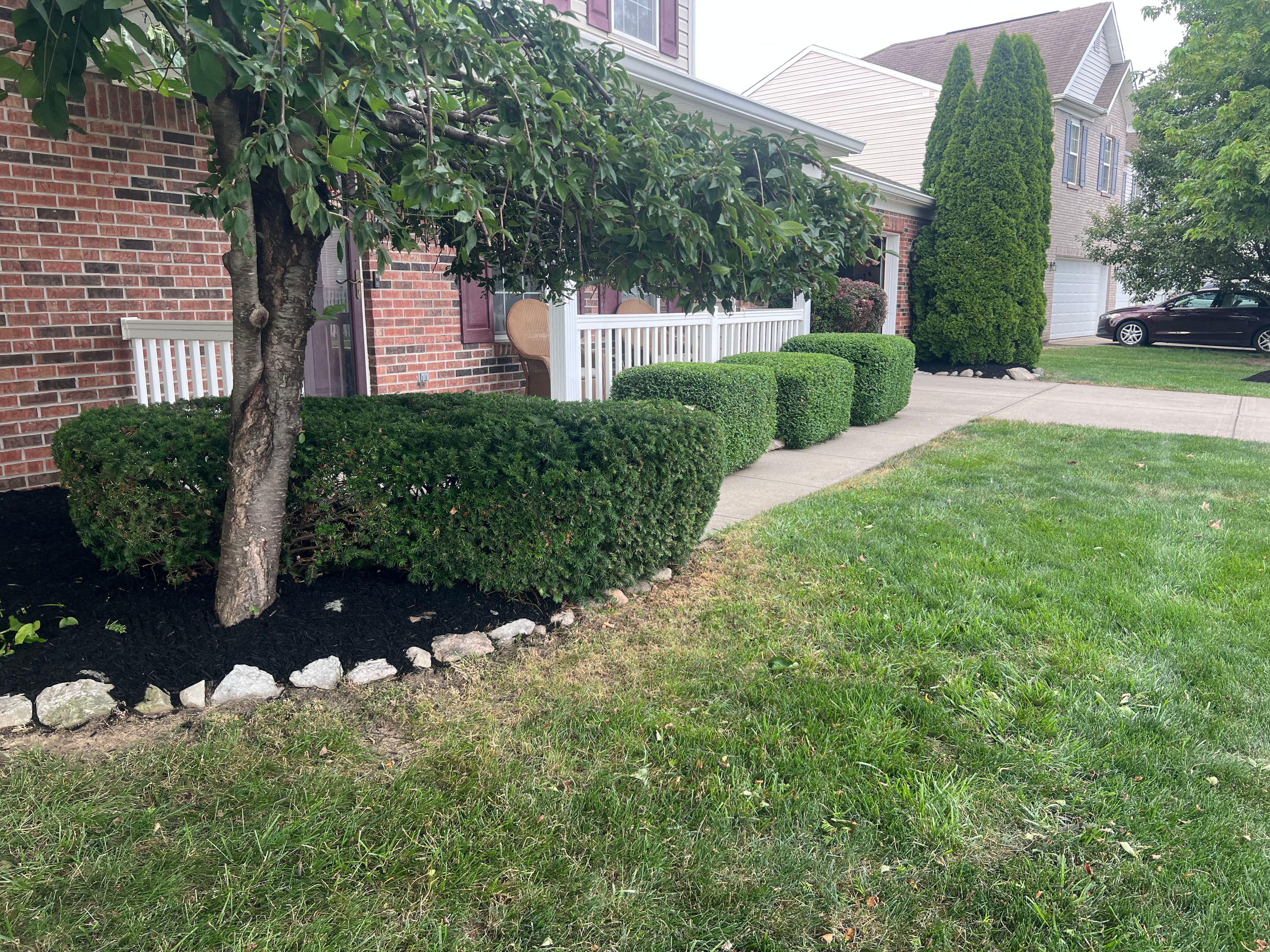 Project Fresh Mulch and Tight Hedge Lines That Make a Front Yard Pop image