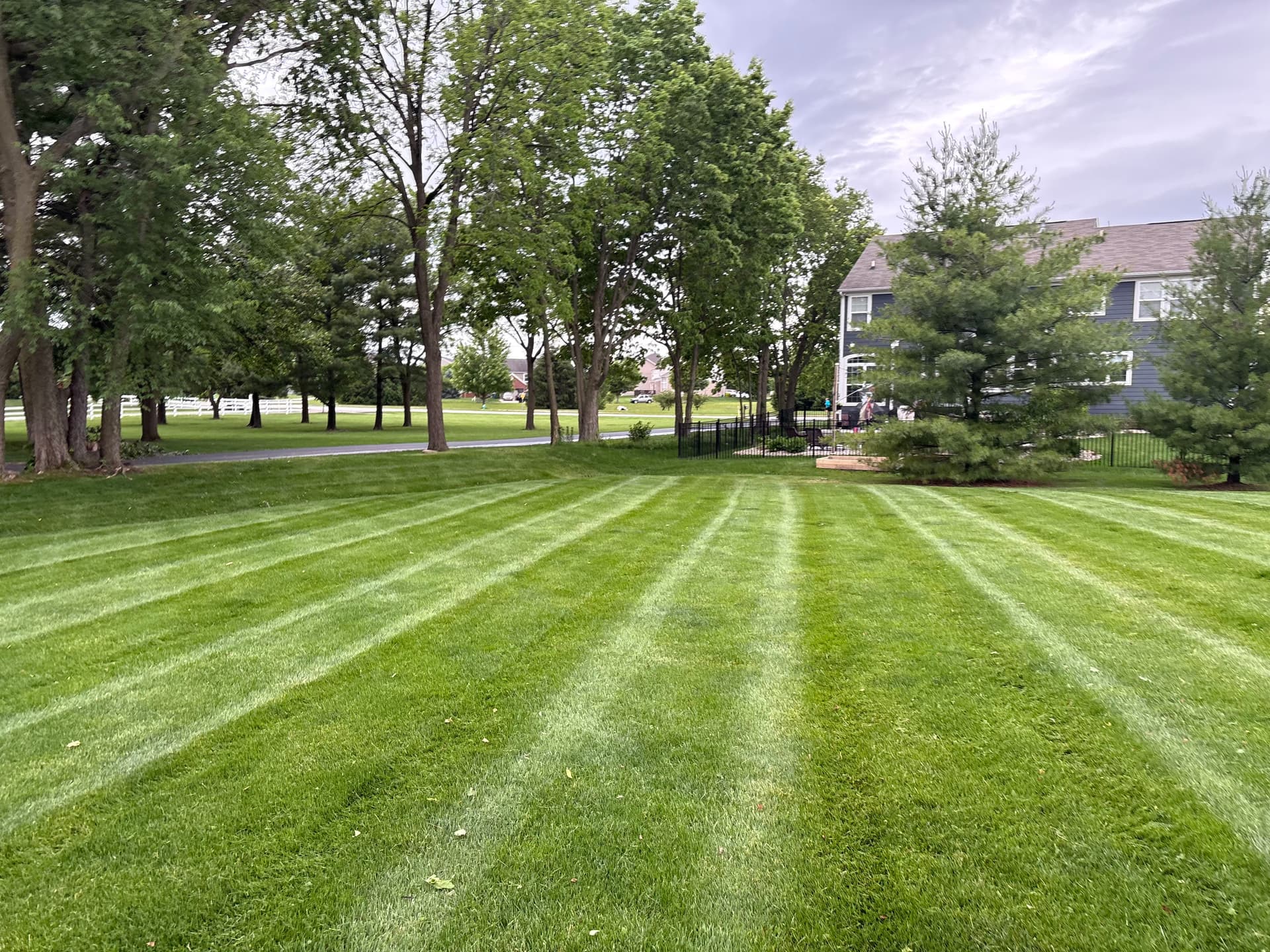 Crisp Lawn Stripes That Make Your Fishers Property Stand Out image