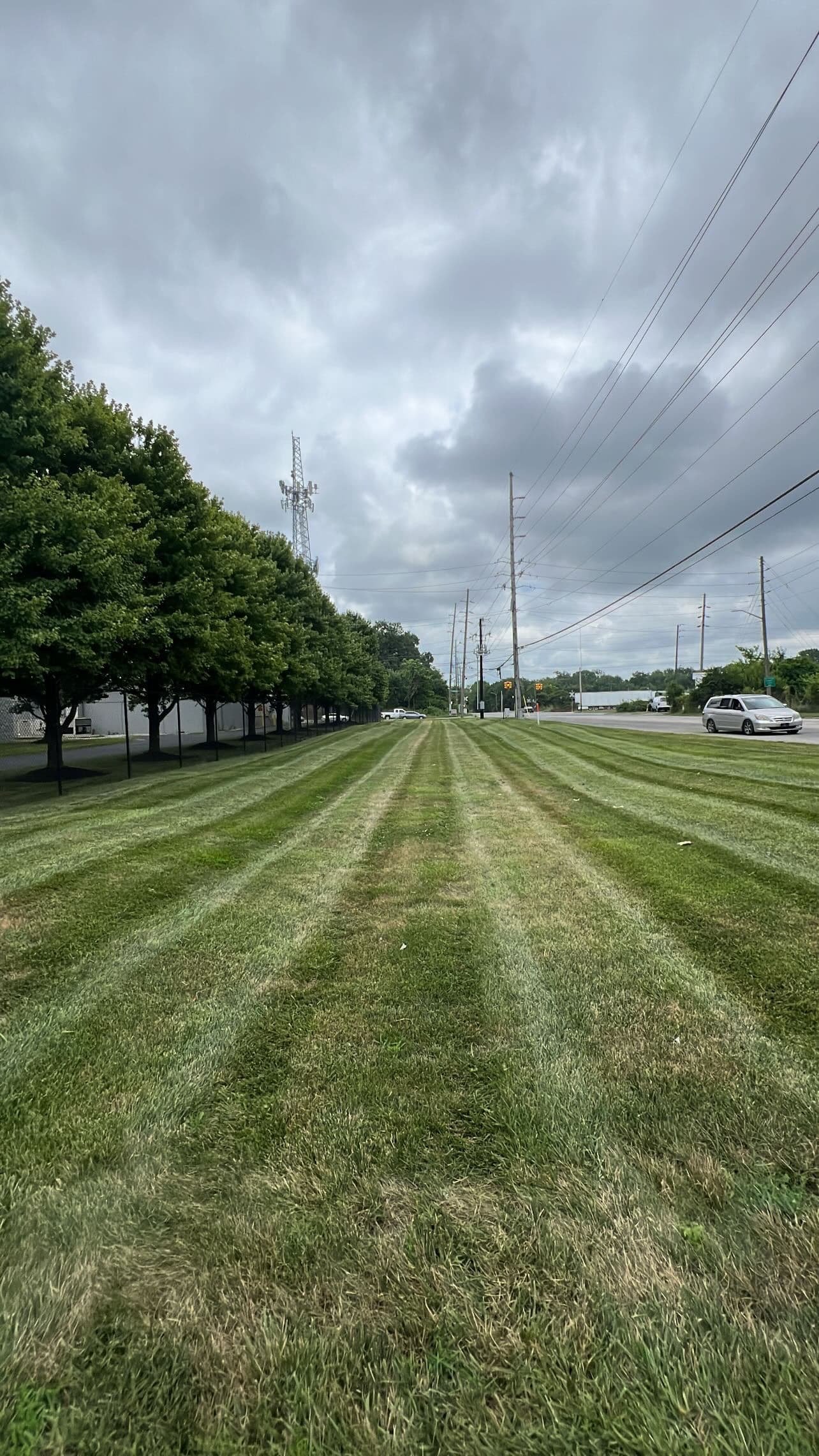 Project Elevating Urban Landscapes in Indianapolis image