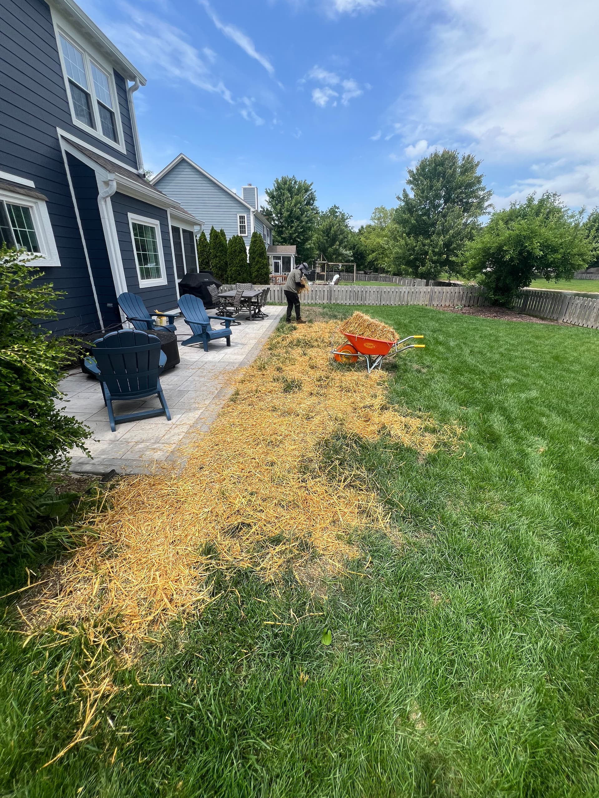 Seed and Straw Lawn Repair Done Right in Fishers image