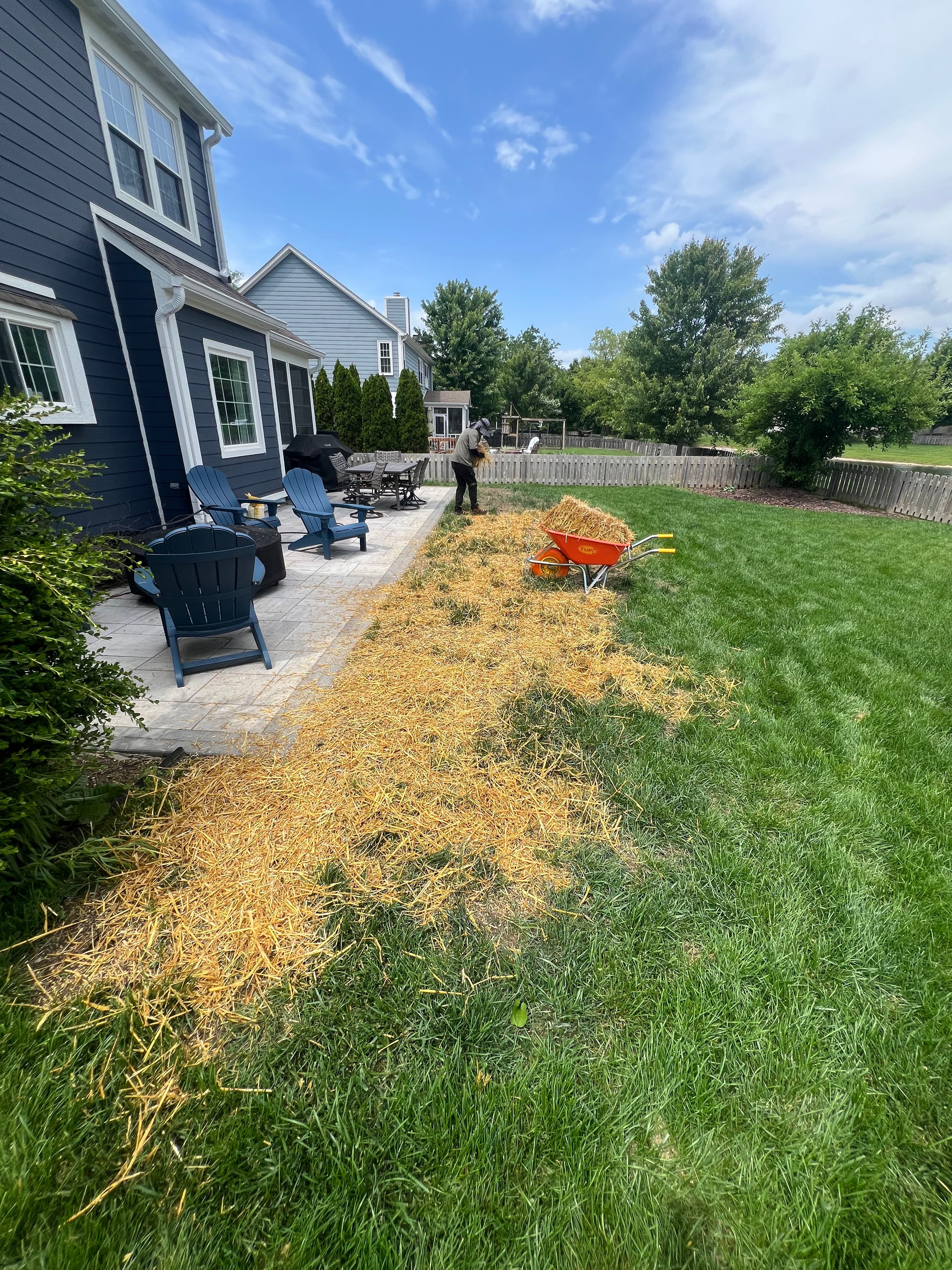 Project Seed and Straw Lawn Repair Done Right in Fishers image
