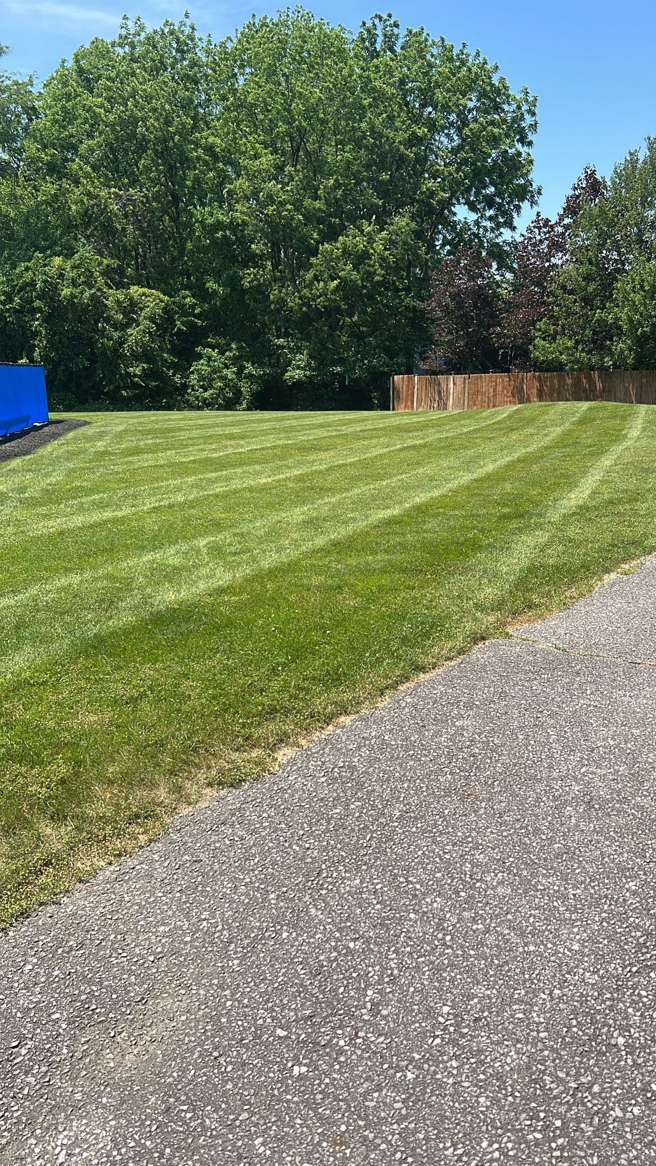 Project Perfectly Mowed Lawns in Fishers image