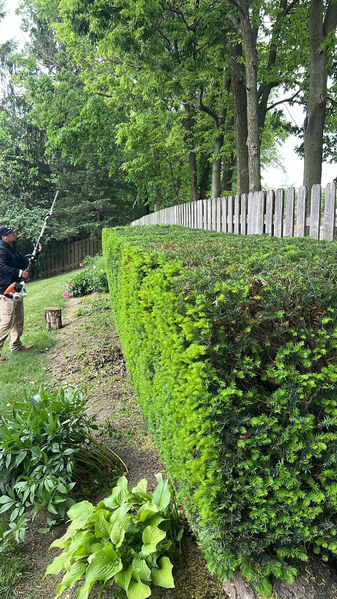 Shrub Trimming Done Right for a Carmel Homeowner image