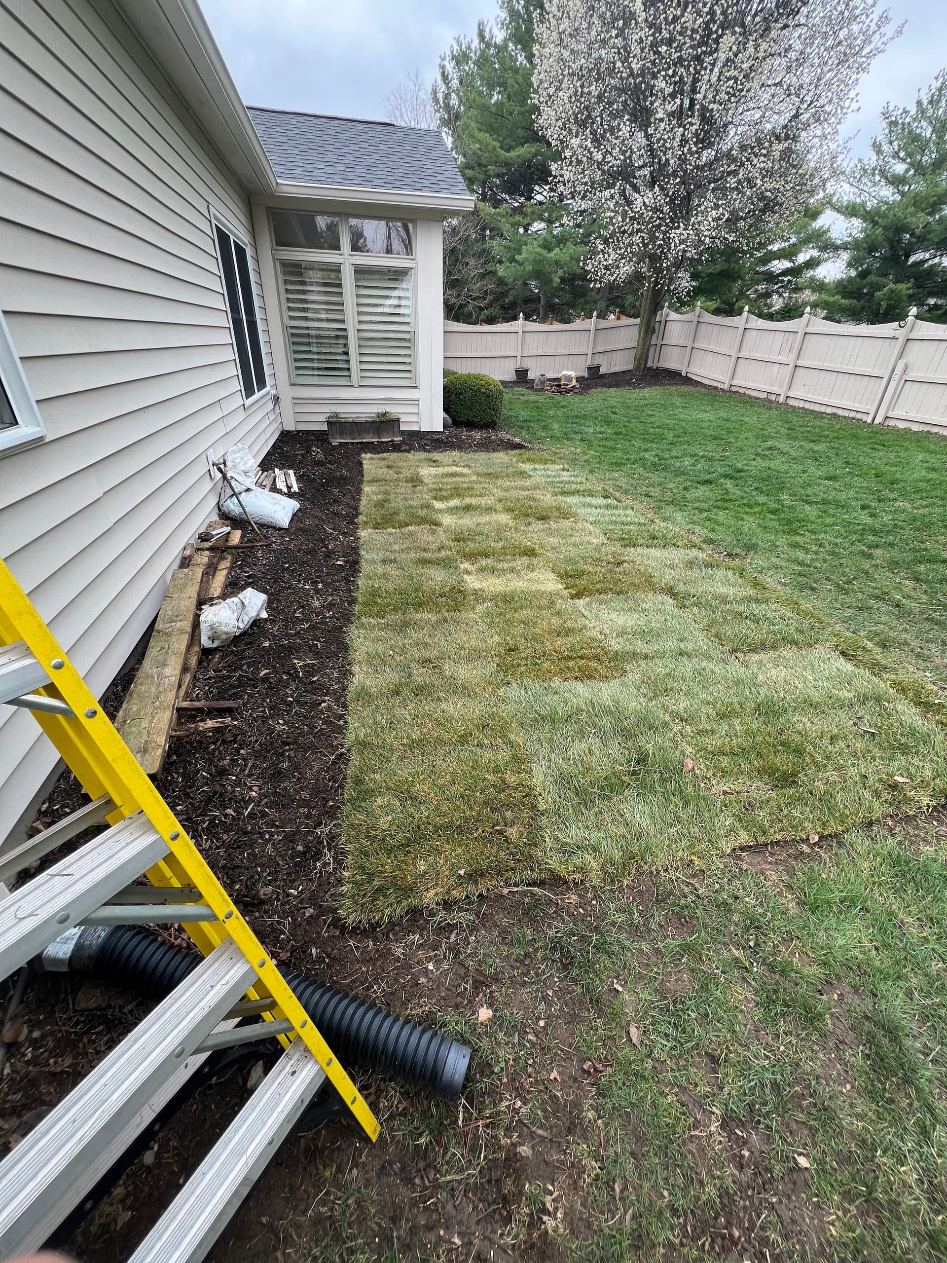 Backyard Refresh in Fishers, Indiana image