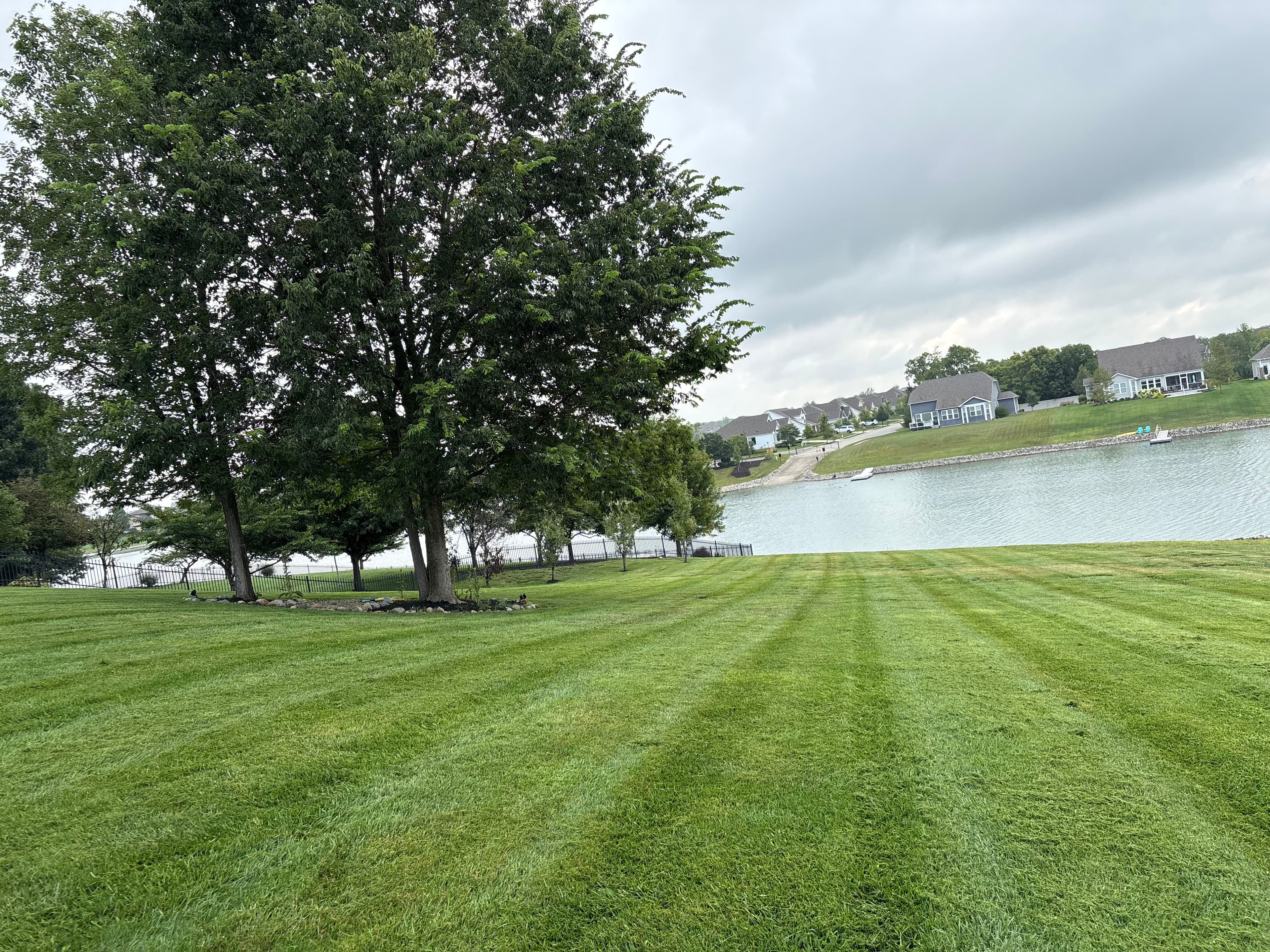 Project Weekly Mowing Keeps This Noblesville Lawn Looking Sharp image