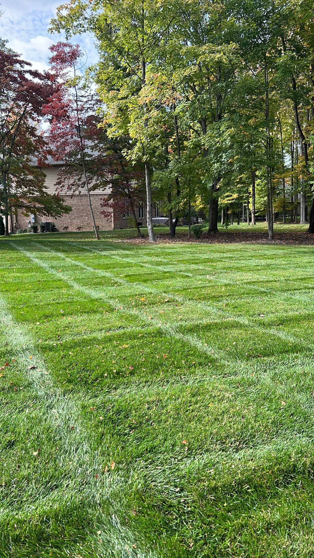 Project Weekly Mowing Near Geist Reservoir That Actually Gets Results image