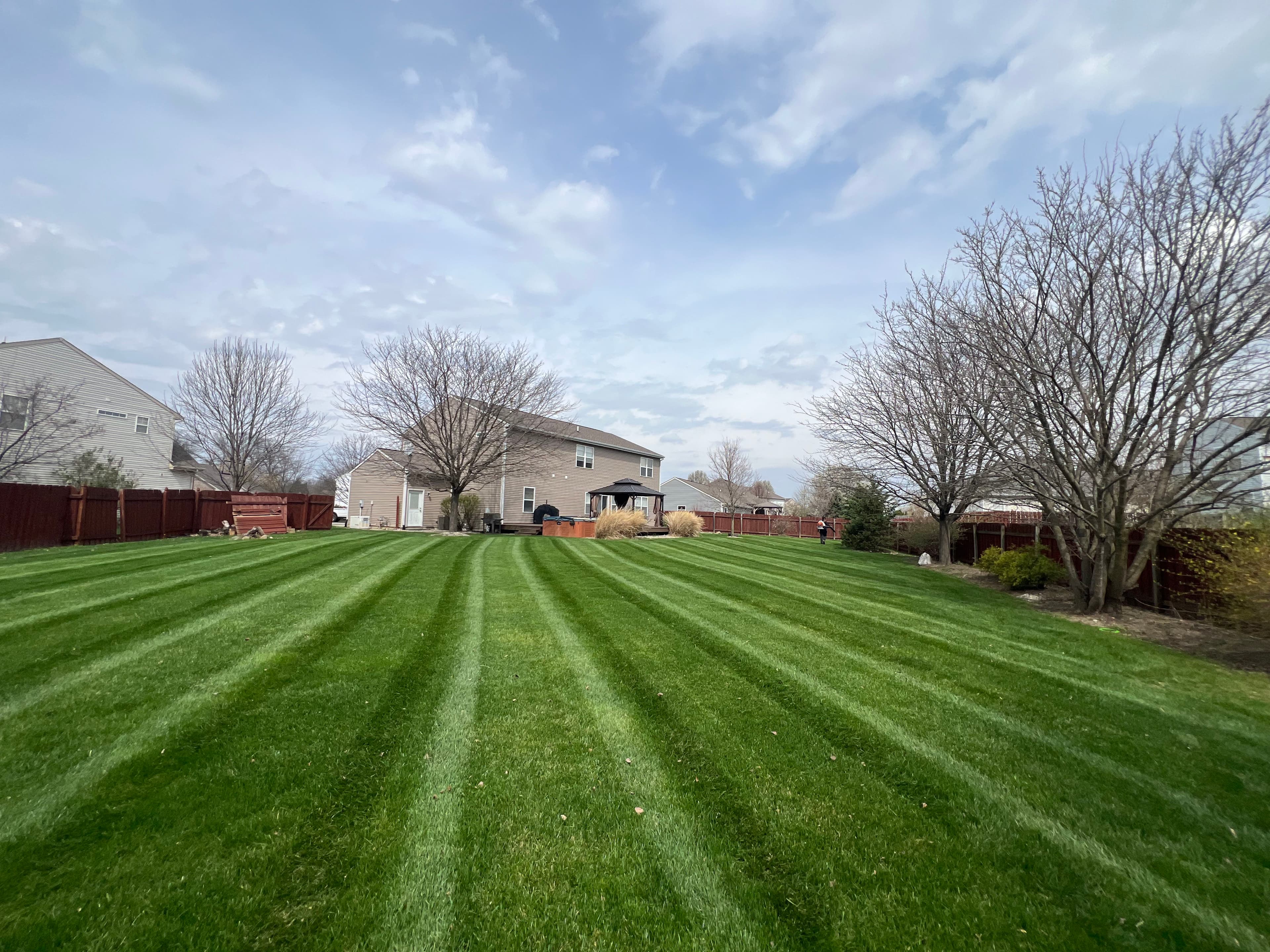 Project Lawn Stripes That Speak Volumes image