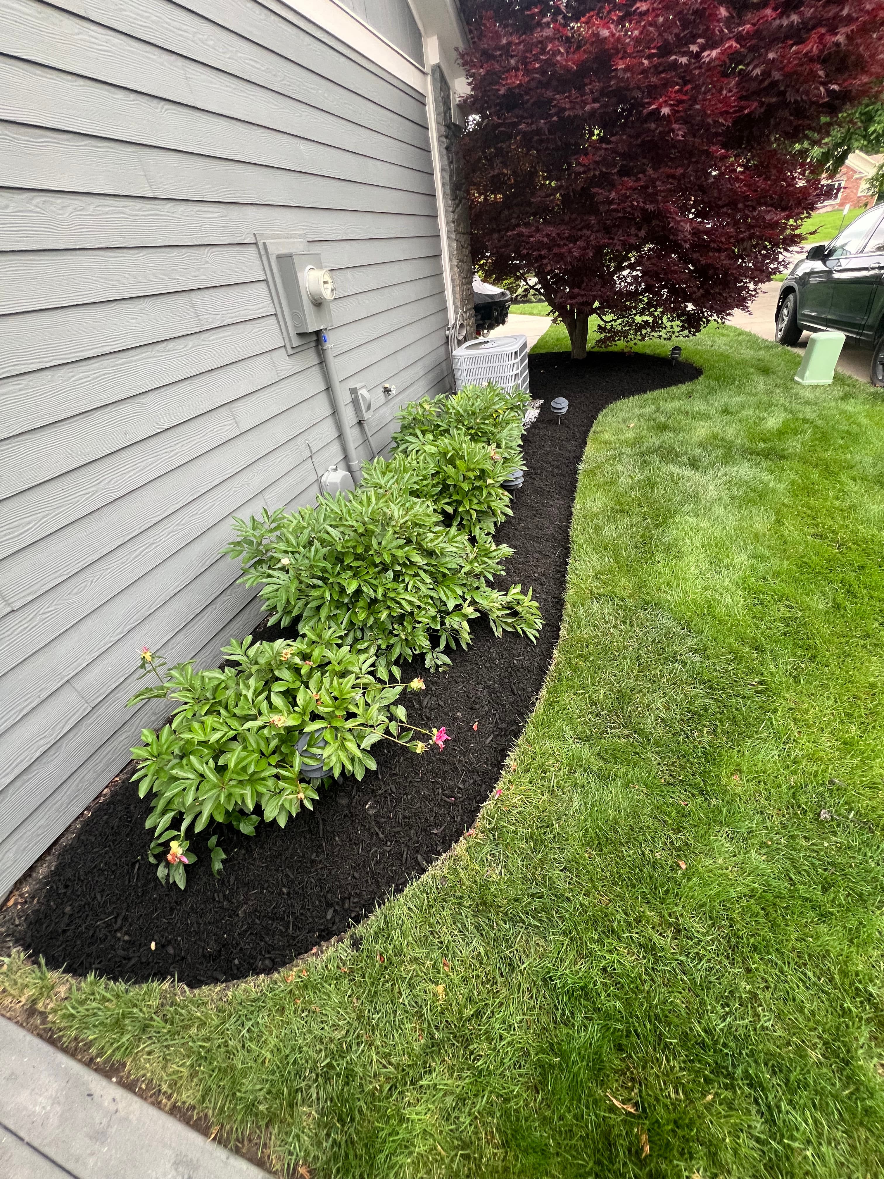 Project Fresh Black Mulch Installation in Cicero Delivers a Sharp Finished Look image
