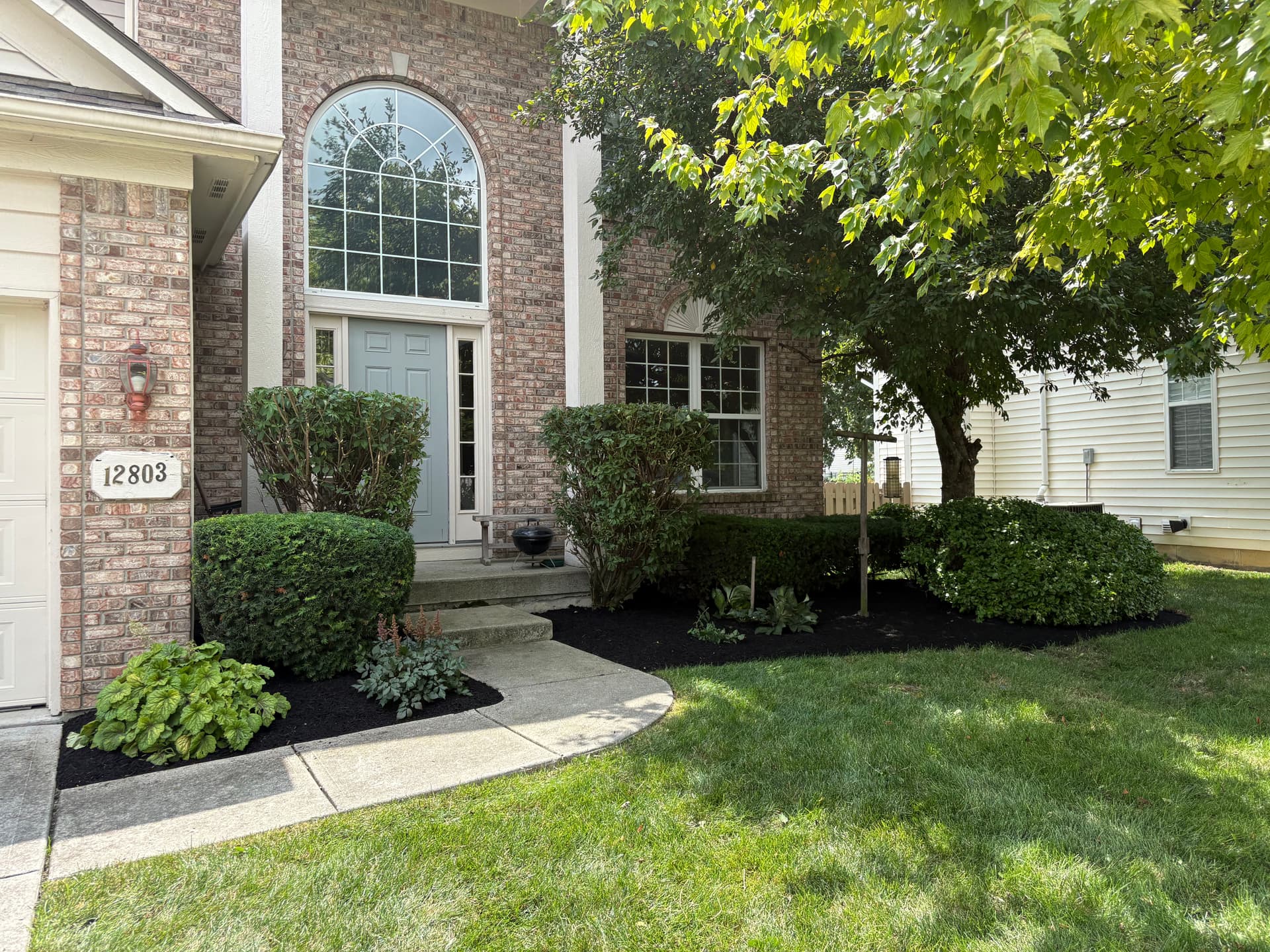 Fresh Mulch and Trimmed Shrubs Make a Front Yard Sharp image