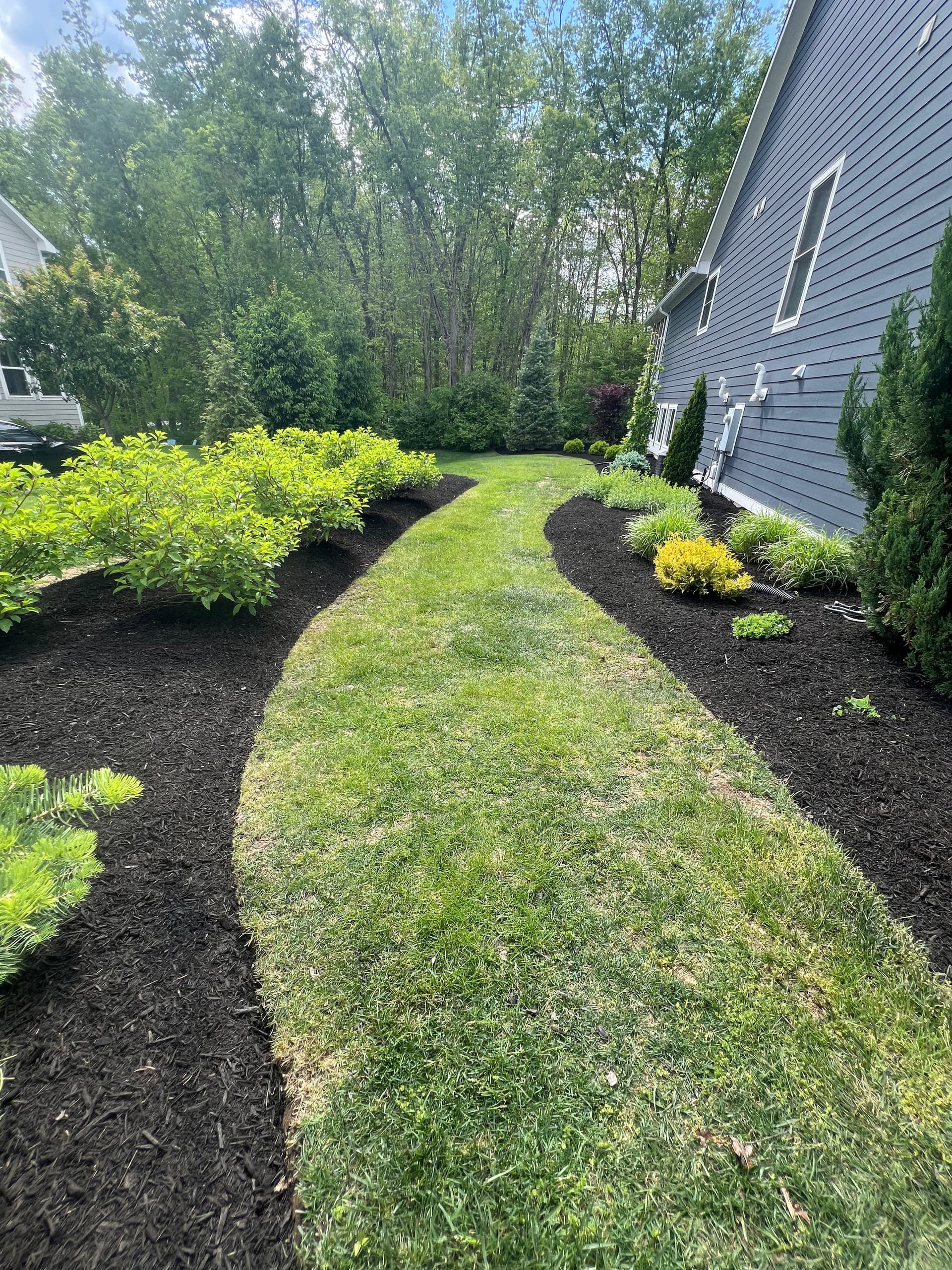 Fresh Black Mulch Installation That Makes Beds Pop image