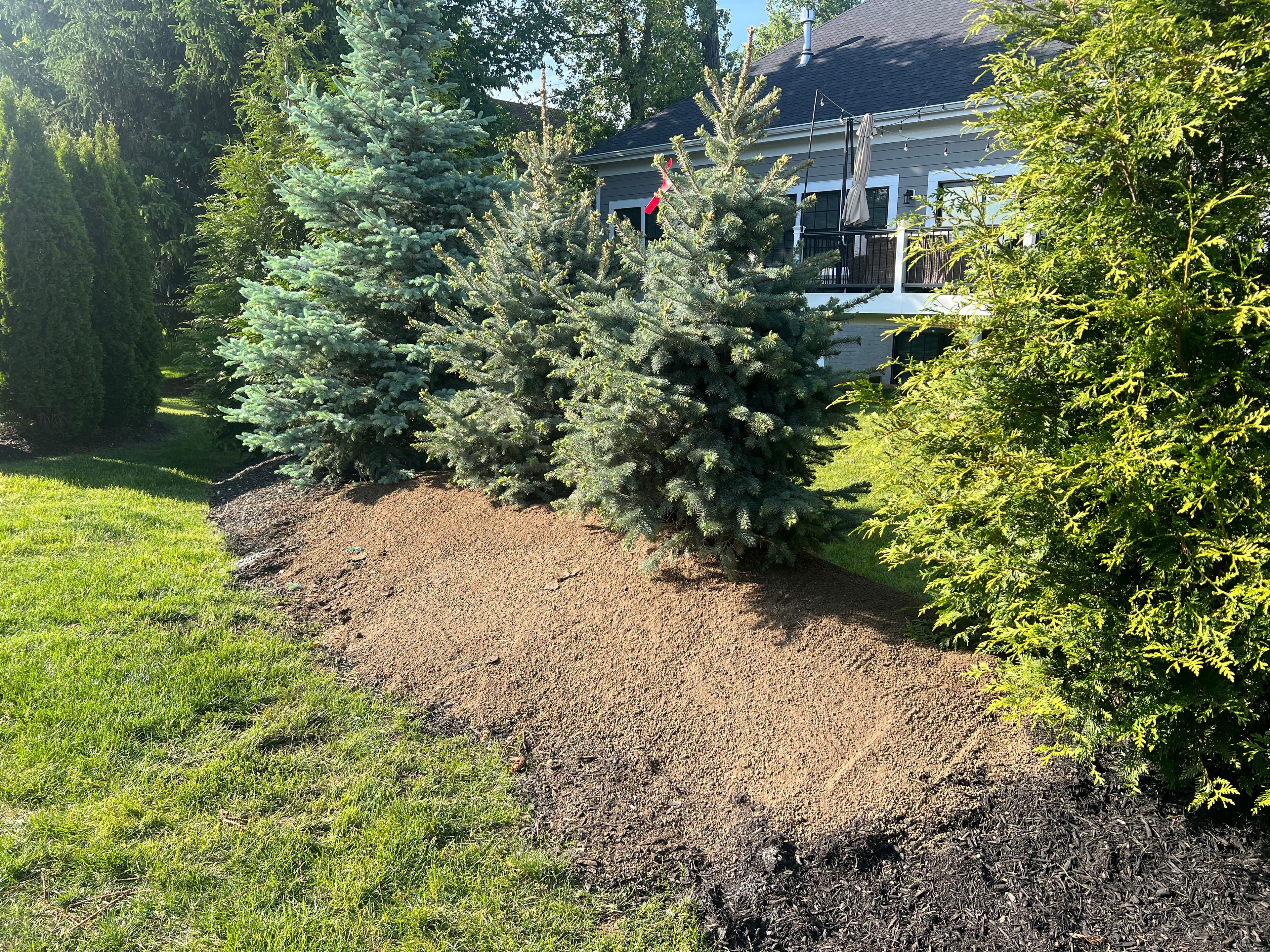 Project Evergreen Installation and Topsoil Enrichment image