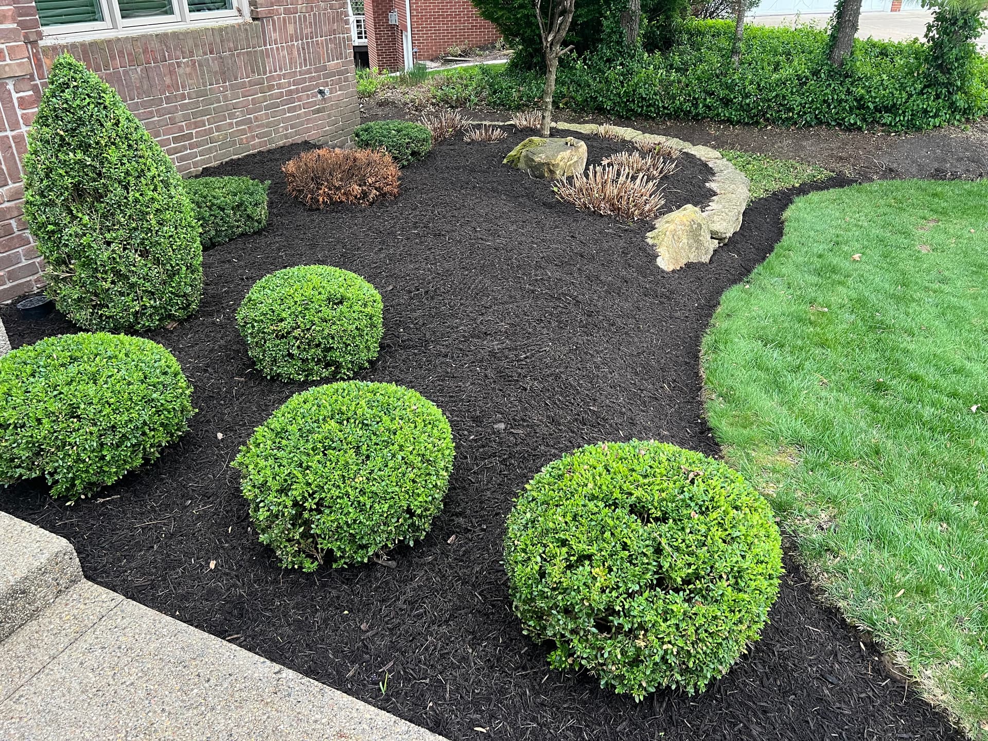 Gallery photos for Deep Edges and Fresh Brown Mulch in Fishers Indiana: Image #1