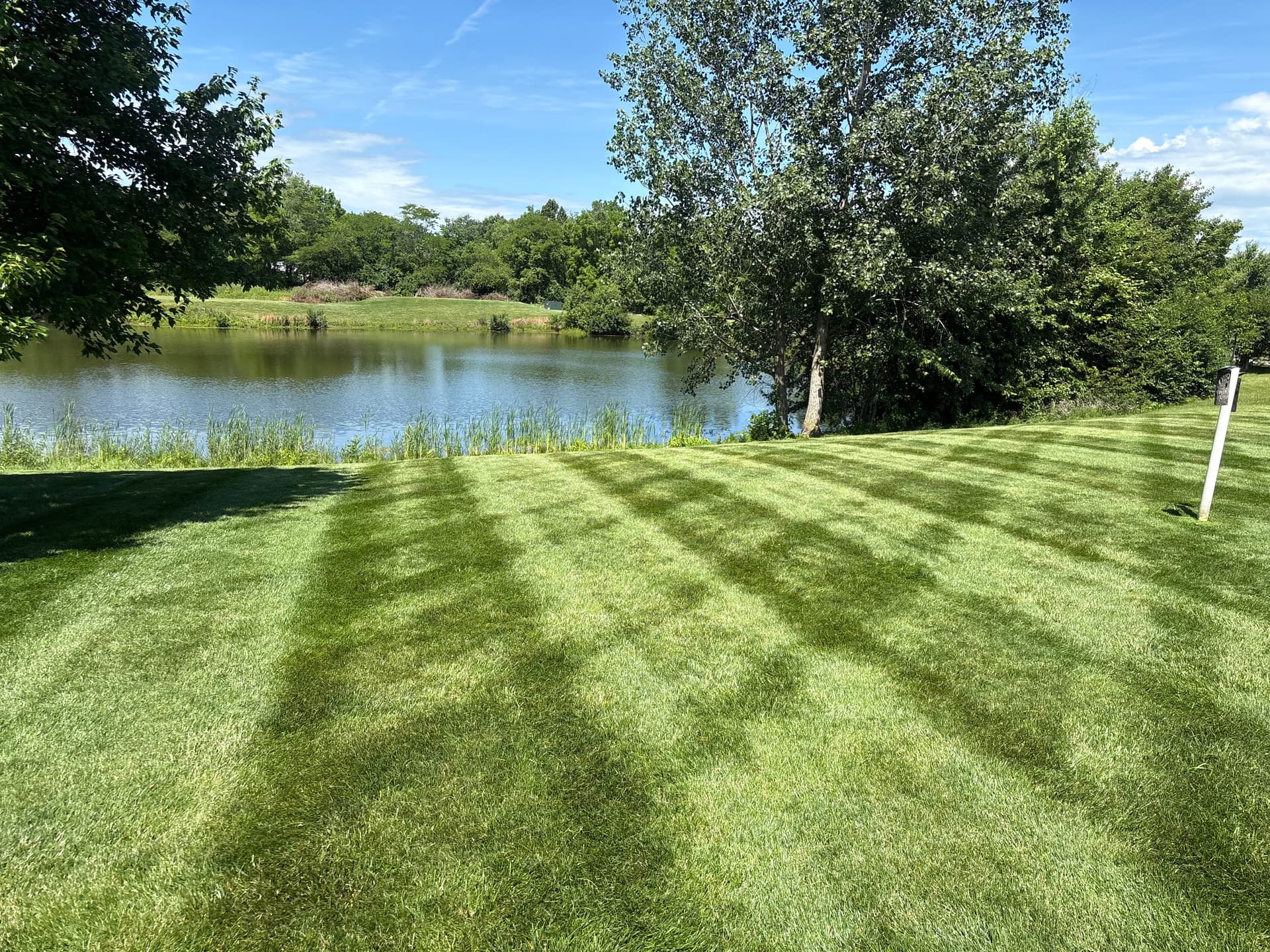 Weekly Mowing Service Keeping Fishers Lawns Sharp All Season image