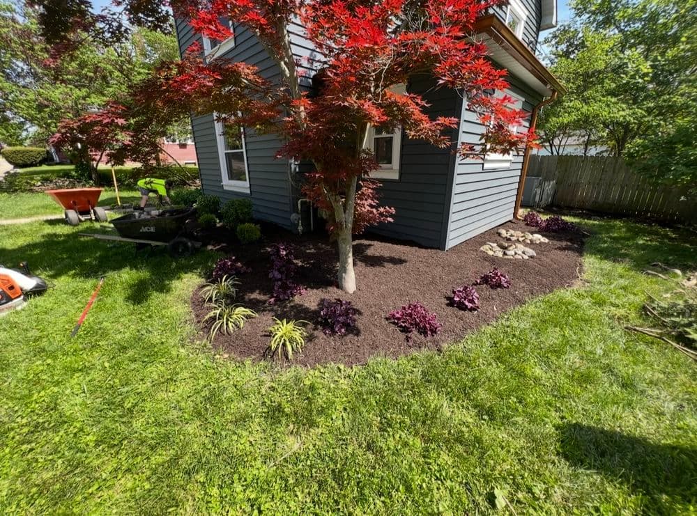 Project Lush Plant Installation Beautifies Pendleton Residence image