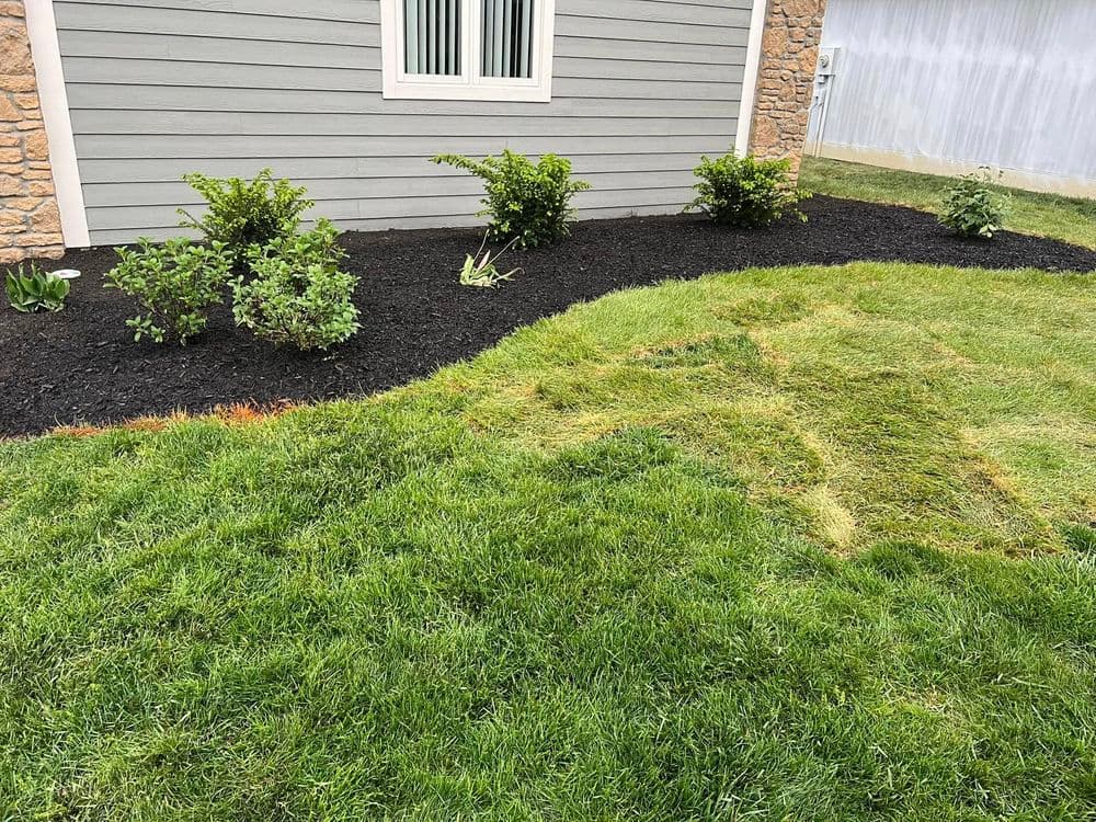 Expert Plant Design and Sod Installation in Cicero