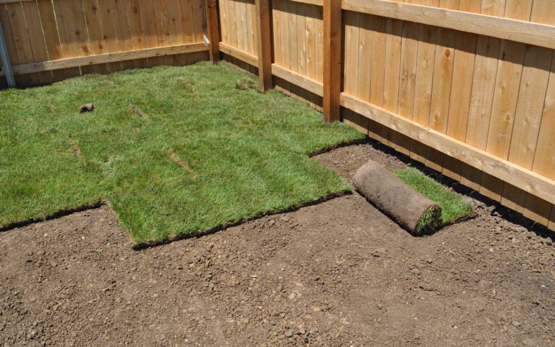 Installing Sod the Right Way: When, How, and Where It Works Best in Central Indiana image