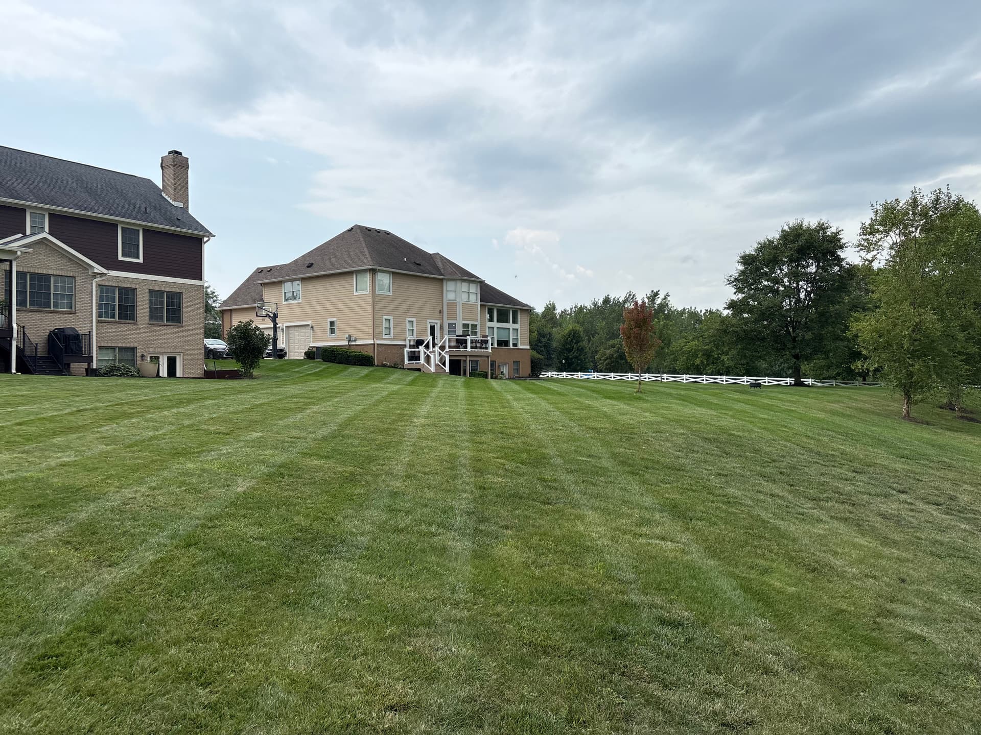 Weekly Mowing That Keeps Your Lawn Looking This Good Every Time image