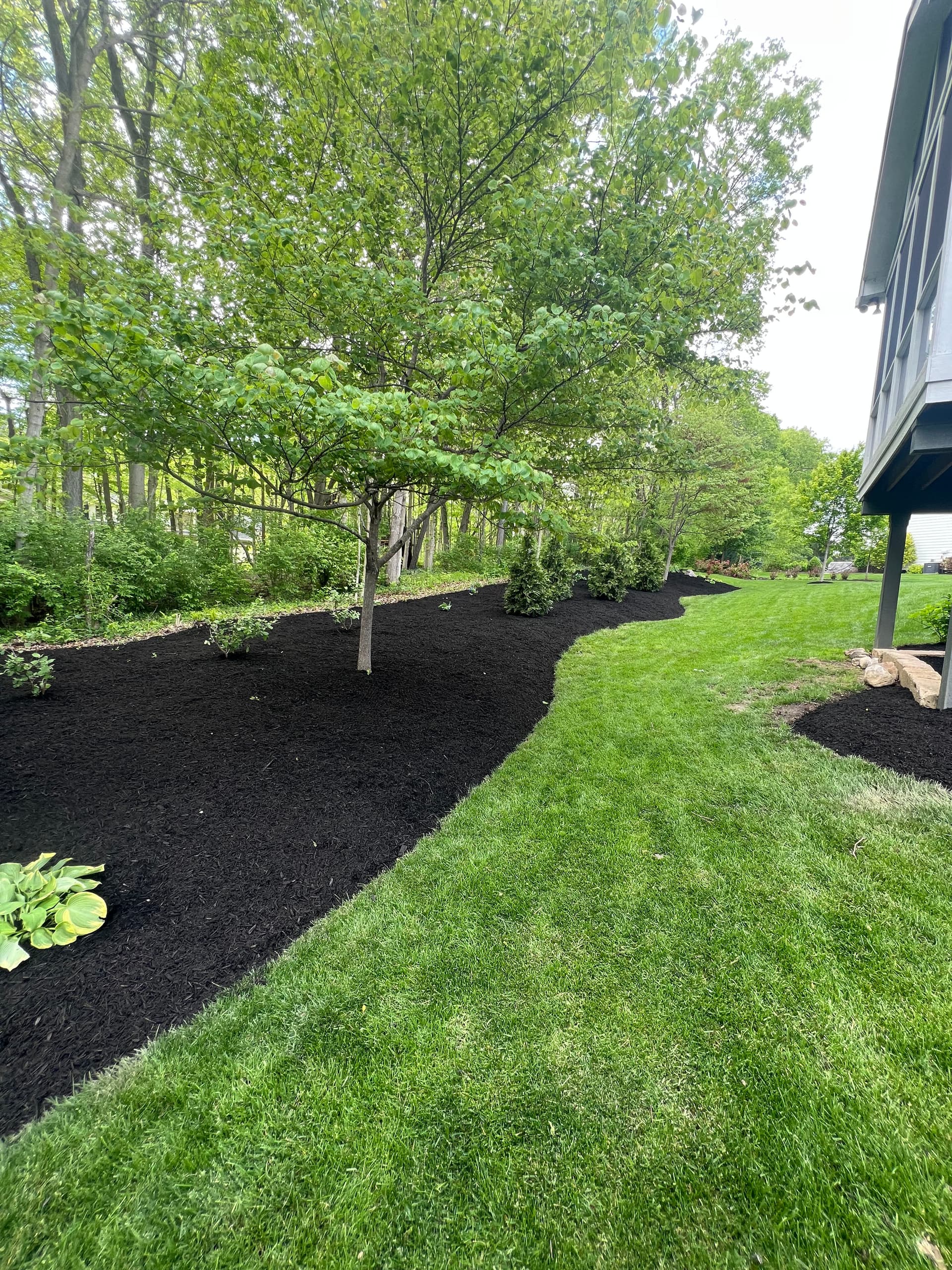 Fresh Black Mulch Installation Near Geist Reservoir image