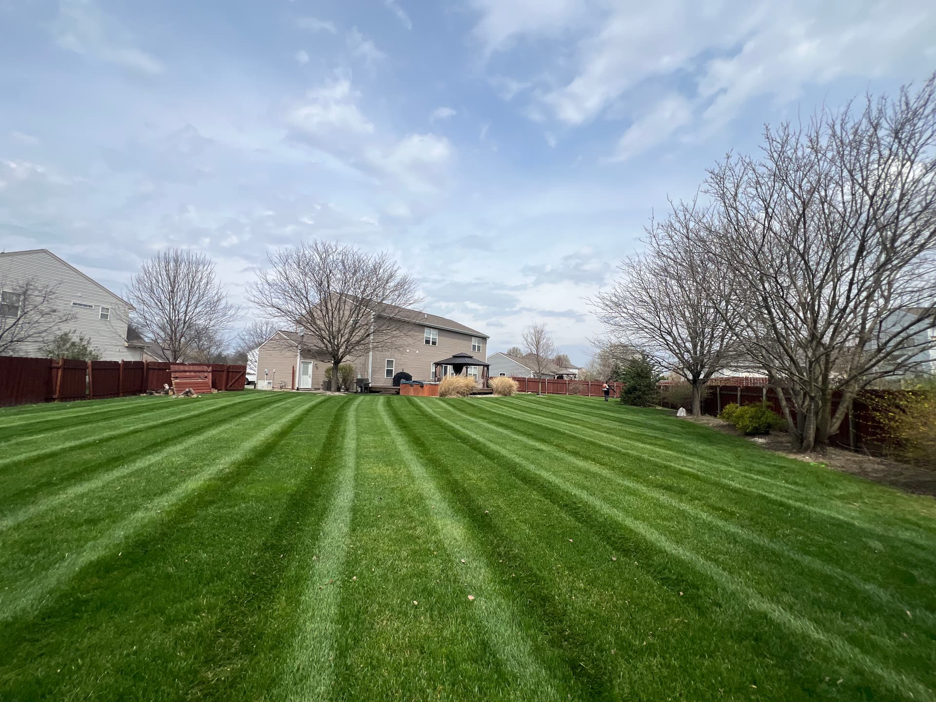 Lawn Stripes That Speak Volumes image