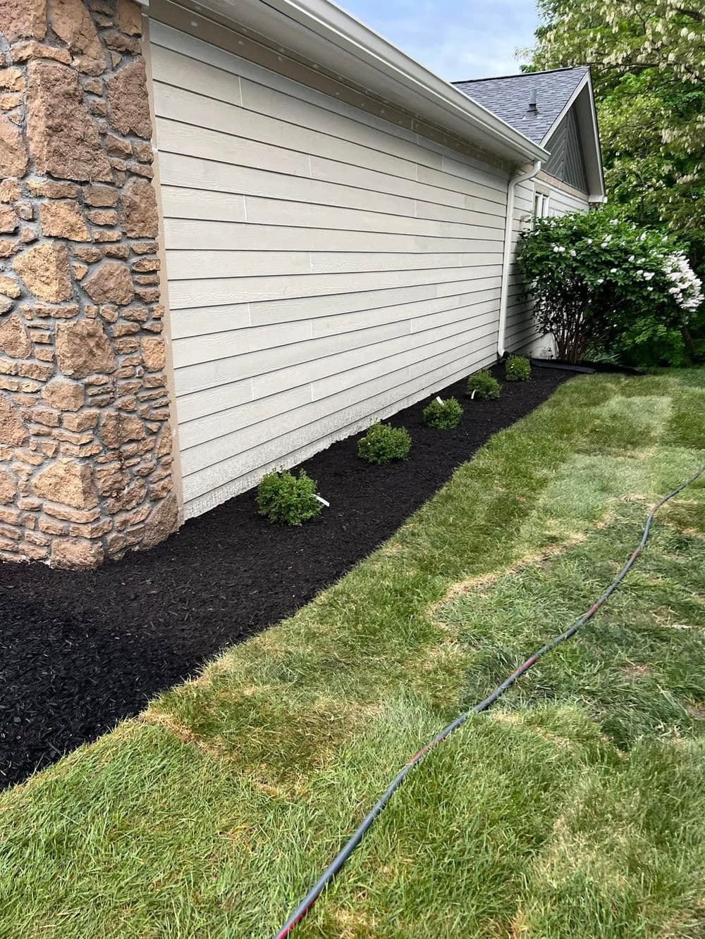 Gallery photos for Expert Plant Design and Sod Installation in Cicero: Image #1